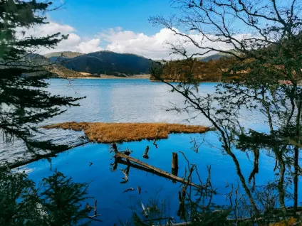 WagonBet Kasino Apl Mudah Alih